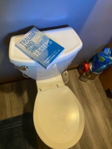 Trauma and the 12 Steps book sitting on top of a toilet.